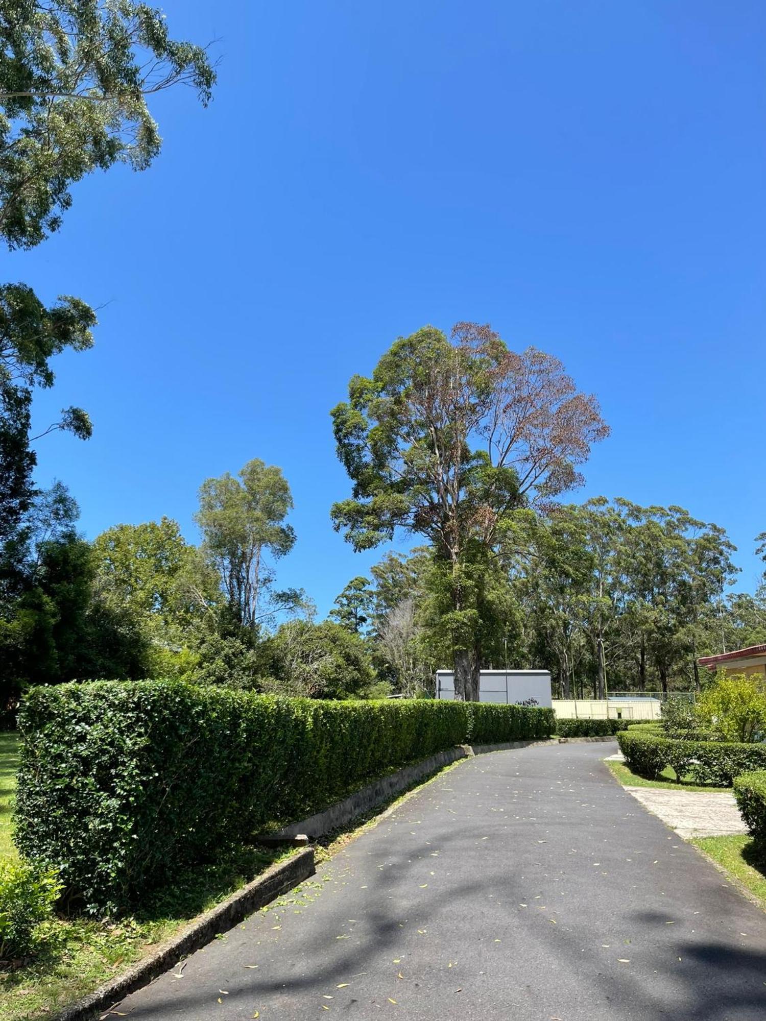 Major Innes Motel Port Macquarie Luaran gambar