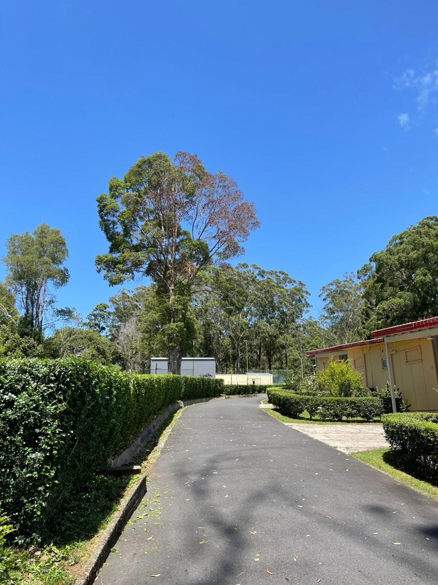 Major Innes Motel Port Macquarie Luaran gambar